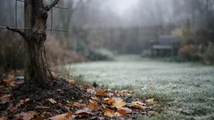 Zo bescherm je je druivenstok in november tegen vorstschade