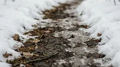 Ik stop dit in de winter onder de sneeuw – en in het voorjaar is mijn tuingrond perfect