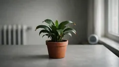 Bruine bladpunten bij kamerplanten? Dit zijn de oorzaken en de beste oplossingen