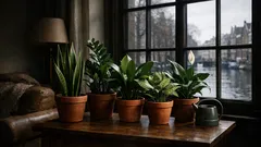 5 kamerplanten die weinig licht nodig hebben en toch groen blijven in de winter